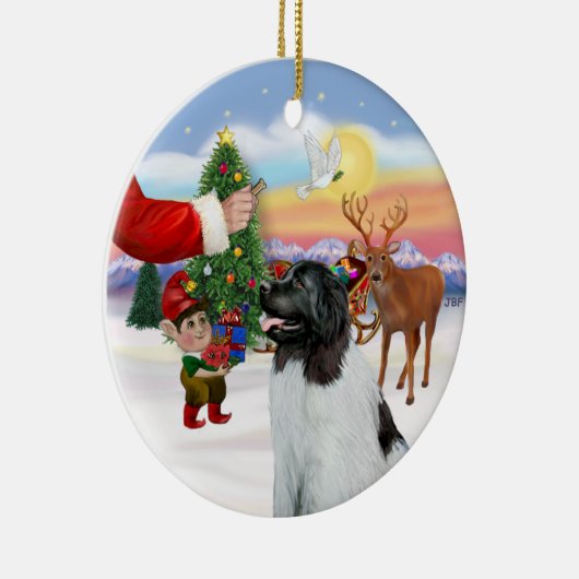 Activiteiten in de omgeving van Landseer Newfoundl Keramisch Ornament (Rechts)