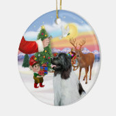 Activiteiten in de omgeving van Landseer Newfoundl Keramisch Ornament (Links)