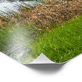 Activiteiten in de omgeving van Legion Lake Custer Foto Afdruk (Hoek)