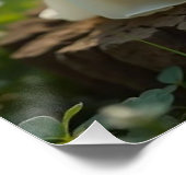 Activiteiten in de omgeving van Linny & Lane Baby Perfect Poster (Hoek)