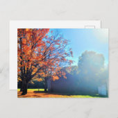 Activiteiten in de omgeving van Long Island Autumn Briefkaart (Voorkant / Achterkant)