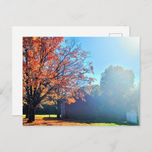 Activiteiten in de omgeving van Long Island Autumn Briefkaart (Voorkant / Achterkant)