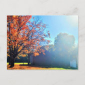 Activiteiten in de omgeving van Long Island Autumn Briefkaart (Voorkant)