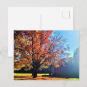 Activiteiten in de omgeving van Long Island Autumn Briefkaart (Voorkant / Achterkant)