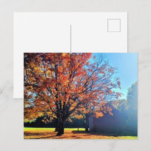 Activiteiten in de omgeving van Long Island Autumn Briefkaart (Voorkant / Achterkant)