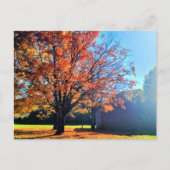 Activiteiten in de omgeving van Long Island Autumn Briefkaart (Voorkant)