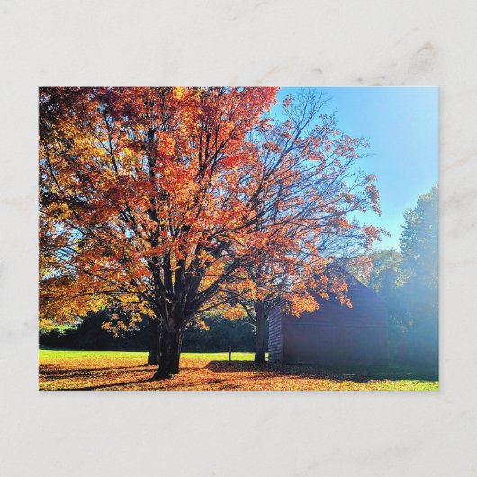 Activiteiten in de omgeving van Long Island Autumn Briefkaart (Voorkant)