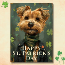 Activiteiten in de omgeving van Lucky Shamrock Dog