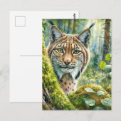 Activiteiten in de omgeving van Lush Green Forest  Briefkaart (Voorkant / Achterkant)