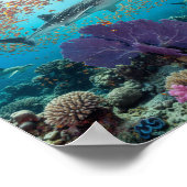 Activiteiten in de omgeving van Majestic Whale Sha Poster (Hoek)