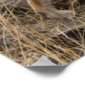 Activiteiten in de omgeving van Masai Mara Safari Poster (Hoek)