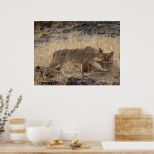 Activiteiten in de omgeving van Masai Mara Safari Poster (Keuken)