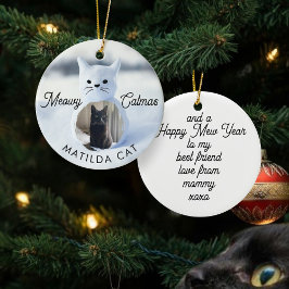 Activiteiten in de omgeving van Meowy Catmas Cat C Keramisch Ornament