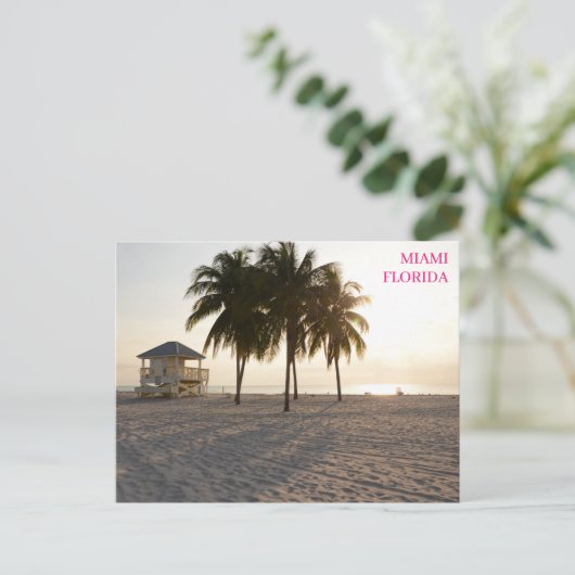 Activiteiten in de omgeving van Miami Florida Beac Briefkaart (Staand voorkant)