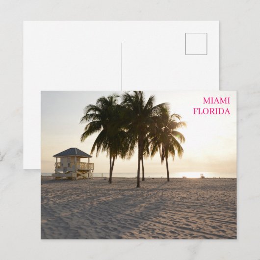 Activiteiten in de omgeving van Miami Florida Beac Briefkaart (Voorkant / Achterkant)