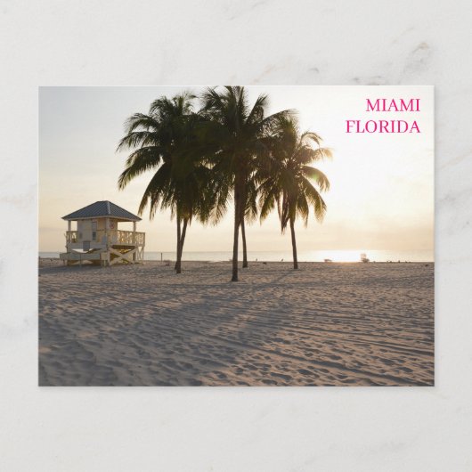 Activiteiten in de omgeving van Miami Florida Beac Briefkaart (Voorkant)