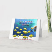 Activiteiten in de omgeving van Miss Daisy Parrotl Kaart (Achterkant)