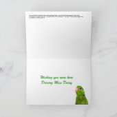 Activiteiten in de omgeving van Miss Daisy Parrotl Kaart (Binnen)