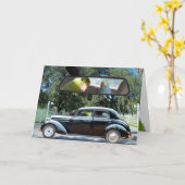 Activiteiten in de omgeving van Miss Daisy Parrotl Kaart (Gele Bloem)