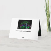 Activiteiten in de omgeving van Missouri Botanical Feestdagen Kaart (Achterkant)