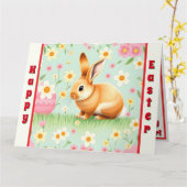 Activiteiten in de omgeving van Modern Holiday Rab Kaart (Gele Bloem)