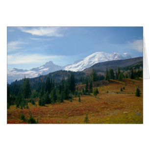 Activiteiten in de omgeving van Mount Rainier brie