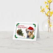 Activiteiten in de omgeving van Naughty Lab Holida Kaart (Gele Bloem)