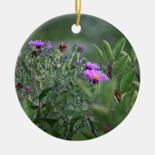 Activiteiten in de omgeving van New England Aster Keramisch Ornament