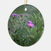 Activiteiten in de omgeving van New England Aster  Keramisch Ornament (Links)