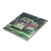 Activiteiten in de omgeving van New Orleans St Cha Tegeltje (Zijkant)