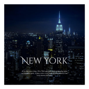 Activiteiten in de omgeving van New York City Skyl Perfect Poster