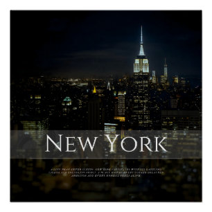 Activiteiten in de omgeving van New York City Skyl Perfect Poster