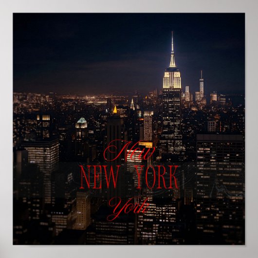 Activiteiten in de omgeving van New York City Skyl Poster (Voorkant)