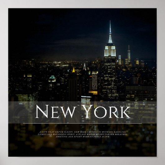 Activiteiten in de omgeving van New York City Skyl Poster (Voorkant)