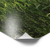 Activiteiten in de omgeving van Oakwood Lakes Stat Foto Afdruk (Hoek)