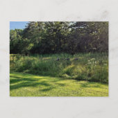 Activiteiten in de omgeving van Oakwoods Metropark Briefkaart (Voorkant)