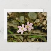 Activiteiten in de omgeving van Oakwoods Metropark Briefkaart (Voorkant / Achterkant)