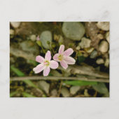 Activiteiten in de omgeving van Oakwoods Metropark Briefkaart (Voorkant)