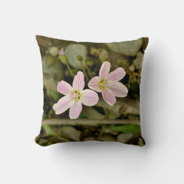 Activiteiten in de omgeving van Oakwoods Metropark Kussen