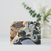 Activiteiten in de omgeving van Octopus and Rocks  Briefkaart (Staand voorkant)