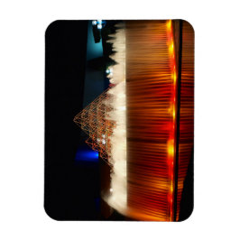 Activiteiten in de omgeving van Orlando Theme Park Magneet