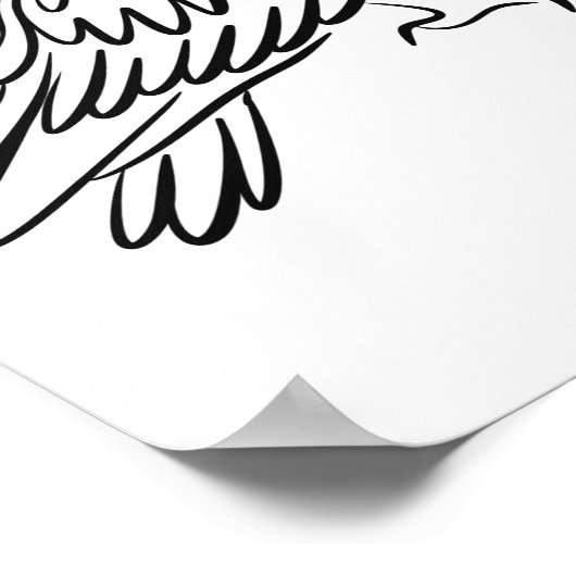 Activiteiten in de omgeving van Osprey Bird of Pre Poster (Hoek)