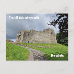 Activiteiten in de omgeving van Oystermouth Castle Briefkaart