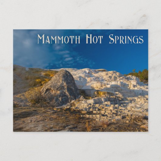 Activiteiten in de omgeving van Palette Spring Yel Briefkaart (Voorkant)