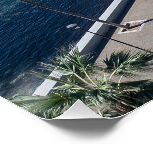 Activiteiten in de omgeving van Paphos Castle and  Perfect Poster (Hoek)