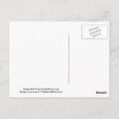 Activiteiten in de omgeving van Paradise Martini R Briefkaart (Achterkant)