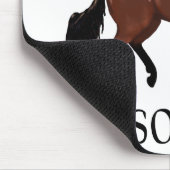 Activiteiten in de omgeving van Paso Fino Bay Hors Muismat (Hoek)