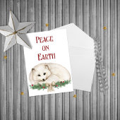 Activiteiten in de omgeving van Peace on Earth Arc Briefkaart