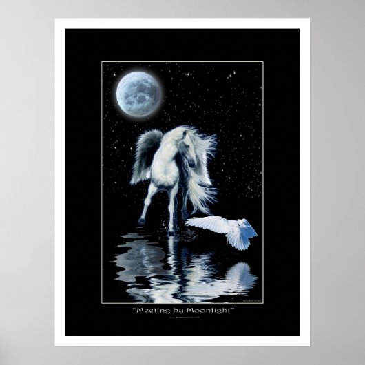 Activiteiten in de omgeving van Pegasus & White Ra Poster (Voorkant)