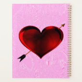 Activiteiten in de omgeving van Pink Ice Spiral No Planner (Achterkant)